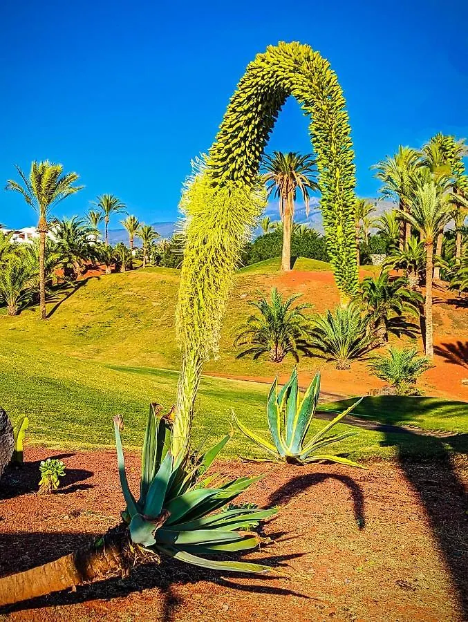 Amarilla Golf Suite San Miguel de Abona 0*,  Spain